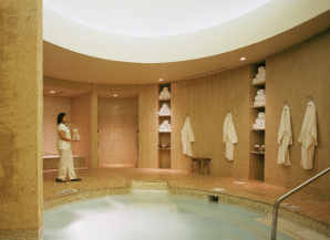 Motor City Casino Spa