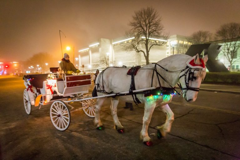 44th Annual Noel Night to Light Up Detroit’s Midtown 44th Annual Noel Night to Light Up Detroit’s Midtown