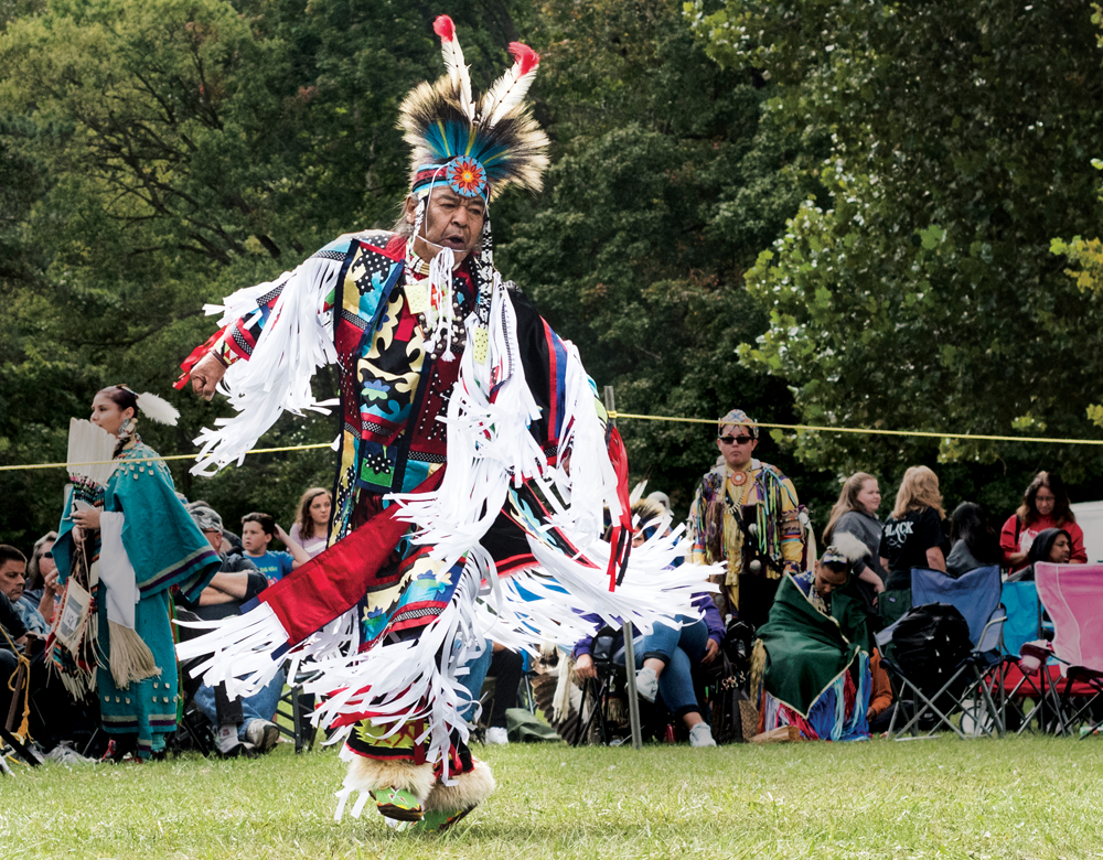 Dog dancing to hot sale native american music