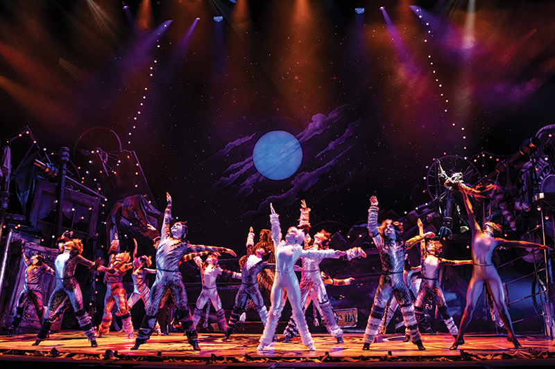 A Behind-The-Scenes Look at The Musical Cats - Hour Detroit Magazine