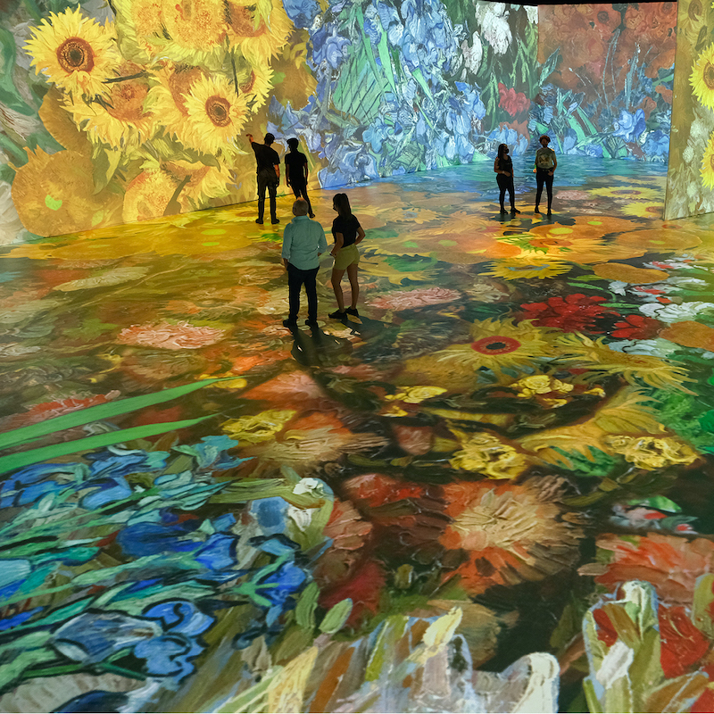 beyond van gogh 