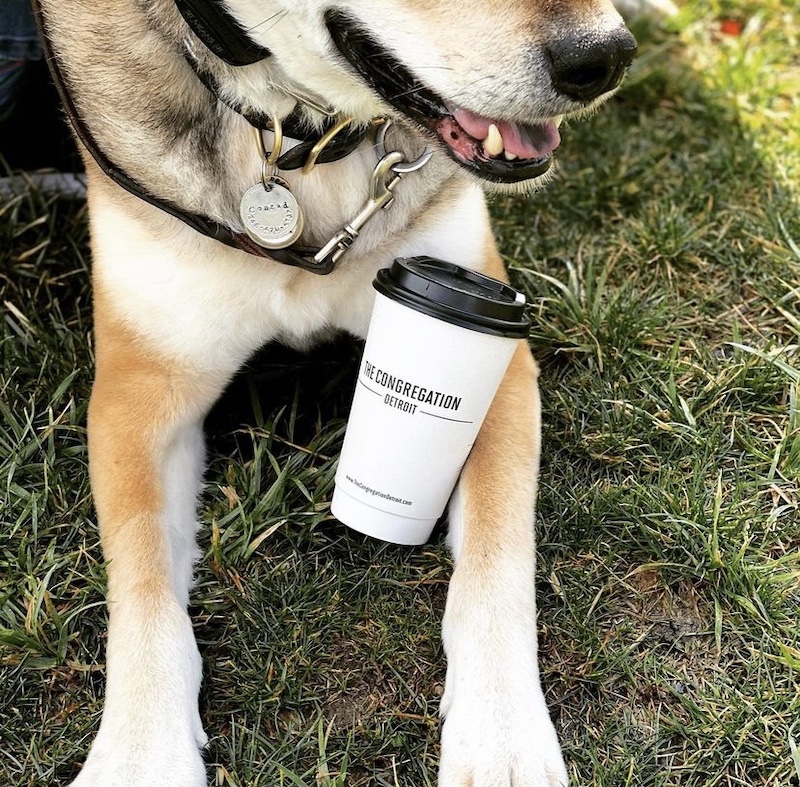 the congregation - dog-friendly patios