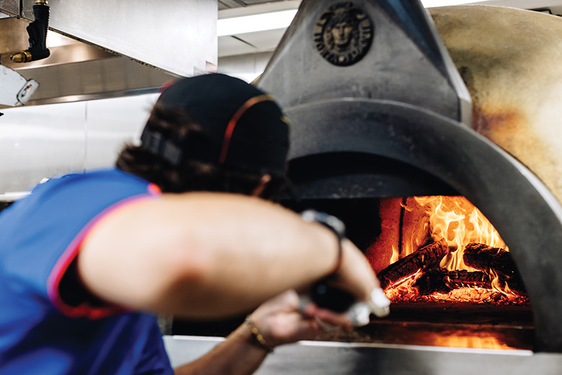 barda wood burning oven