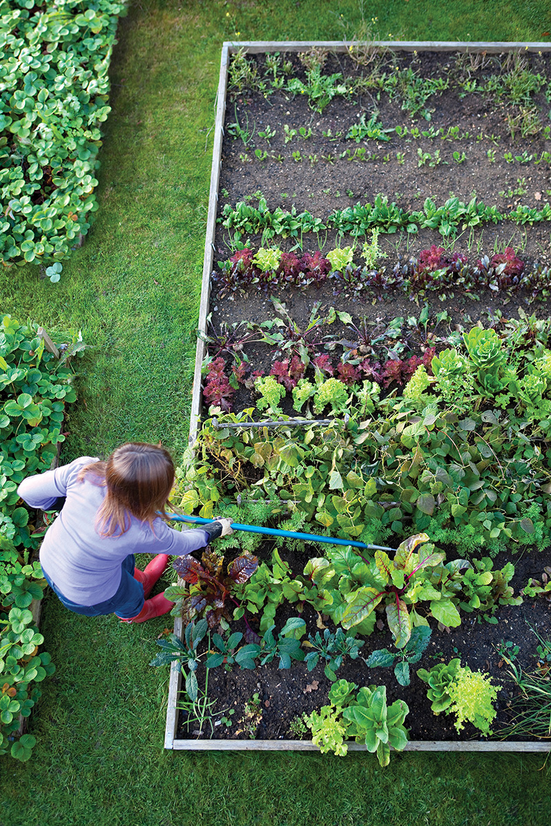 Gardening 