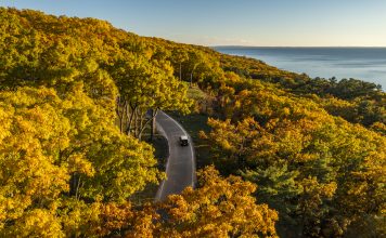 fall-foliage-drives