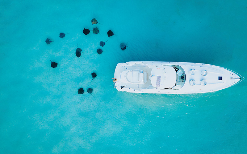 Starting in December, Detroiters will have an easier time getting to Grand Cayman, giving them more time to spend with the stingrays and at enchanting tiki bars.