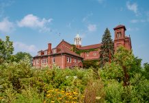 Little Village: A Guide to the Art & Architecture of a Detroit Gem The Grounds