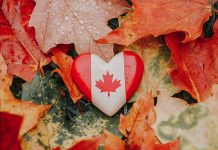Canadian Thanksgiving: Facts That Make the Holiday Different from American Thanksgiving Heart shape wooden national Canadian flag symbol lying on ground in autumn fall red yellow orange maple leaves. Autumnal season in Canada country.
