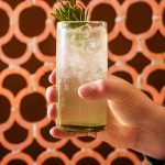 A cocktail in a highball glass with a sprig garnish.