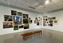 Elaine Jacob Gallery