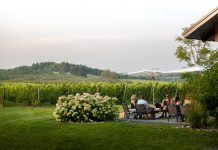 People seated on a patio near a vineyard.