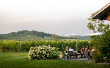 People seated on a patio near a vineyard.