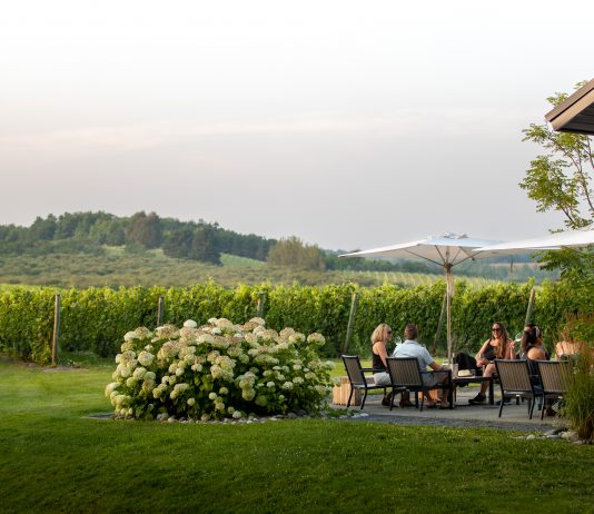 People seated on a patio near a vineyard.
