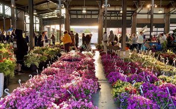 Flower Day at Eastern Market