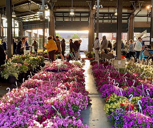 Flower Day at Eastern Market