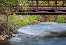Waterfront Living in Southeast Michigan: Northern Oakland County’s Waterways Bridge over Paint Creek